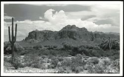 Superstition Mountain Landscape with Saguaro Cacti Postcard