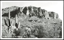 Saguaro Cacti and Superstition Mountain Landscape Postcard