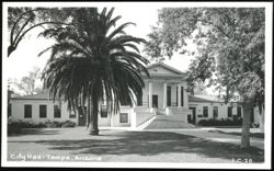 Tempe City Hall Building with Palm Tree Postcard