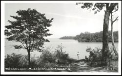 Wilson Lake Shoreline View in Muscle Shoals Postcard