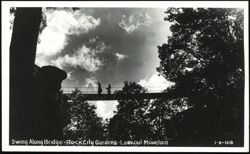 Swing Along Bridge at Rock City Gardens Postcard