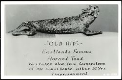 Old Rip, Eastland's Famous Horned Toad Postcard