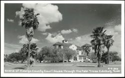 Hidalgo County Court House through the Palm Trees Postcard