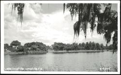 Lake Umatilla Waterfront View Postcard
