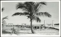 The Dock at Plantation Key Club, Overseas Highway Postcard