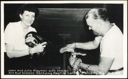 Jack and Julie Raymon with Indigo and Bull Snakes Postcard
