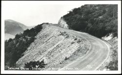 Skyline Drive Winding Road, Shenandoah National Park Postcard