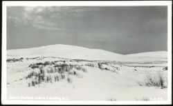 Sand Dunes in Dare County, North Carolina Postcard