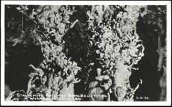 Stalagmite Columns with Helictites in Wyandotte Cave Postcard