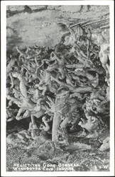 Helictites Gone Berserk in Wyandotte Cave Postcard