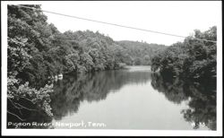 Pigeon River in Newport, Tennessee Postcard