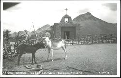 Donkeys at Old Tucson, Tucson Mountain Park Postcard