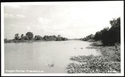 Bayou Teche in Franklin, Louisiana Postcard
