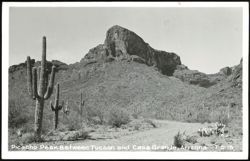 Picacho Peak Between Tucson and Casa Grande, Arizona Postcard
