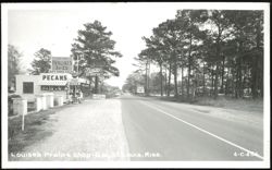 Louise's Praline Shop and Pecan Stand Postcard