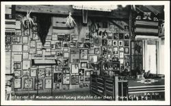 Interior of Museum at Kentucky Reptile Garden Postcard