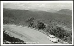 Car on Skyline Drive in Shenandoah National Park Postcard