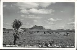 Cathedral Mountain Desert Landscape with Yucca Plants Postcard
