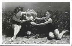 Two Women Picking Flowers Underwater with Basket Postcard