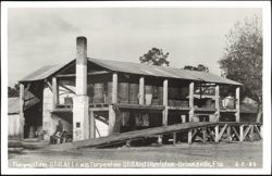 Lewis Turpentine Still and Plantation Postcard