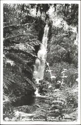 Rainbow Falls, Rainbow Springs Postcard