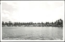 Yacht Basin with Moored Boats and Palm Trees Postcard