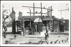 Monkey Island at Municipal Zoo Postcard