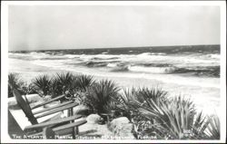 The Atlantic Ocean View from Marine Studios Postcard