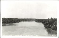 Scenic View of Apalachicola River Near Blountstown Postcard
