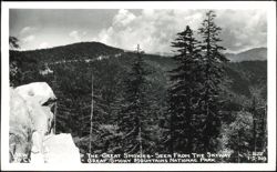 Top of Great Smokies from Skyway to Clingmans Dome Postcard