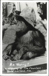 Chimpanzee in Straw Hat Me Worry The Fountain Postcard