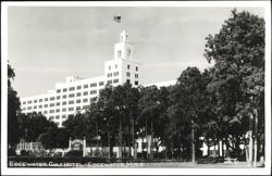 Edgewater Gulf Hotel Exterior and Grounds Postcard