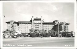 Hotel Galvez Exterior View with Palm Trees Postcard