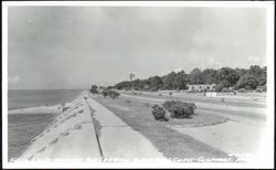 Four Lane Highway and Sea Wall Along Gulf Coast Postcard