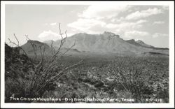 Chisos Mountains, Big Bend National Park Postcard