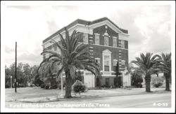 First Methodist Church Building and Palm Trees Postcard
