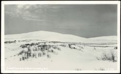 Sand Dunes of Dare County Postcard