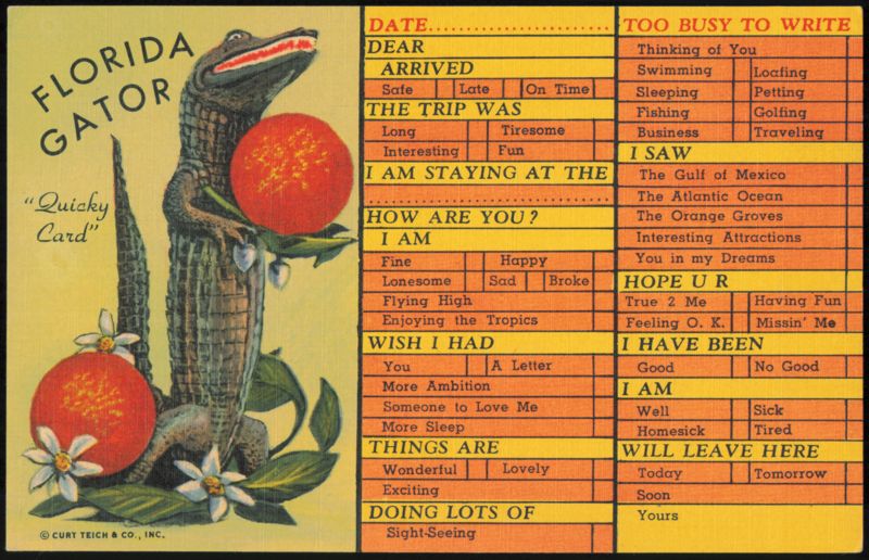 Florida Gator Quicky Card Checklist for Travelers