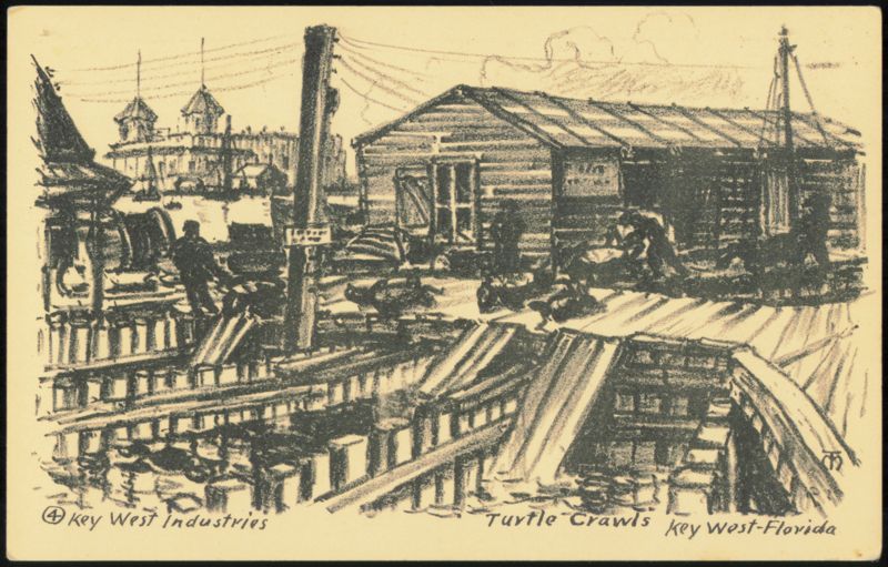 Key West Industries Turtle Crawls Lithograph Drawing Florida