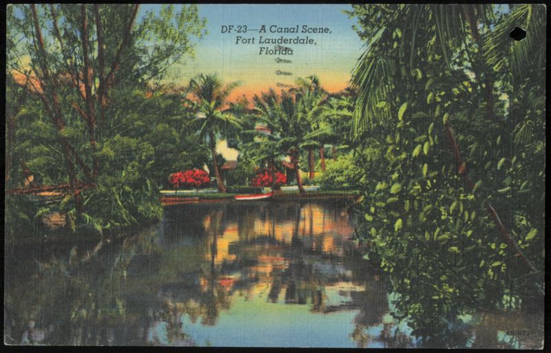 Canal Scene with Tropical Foliage and Flowers Fort Lauderdale Florida