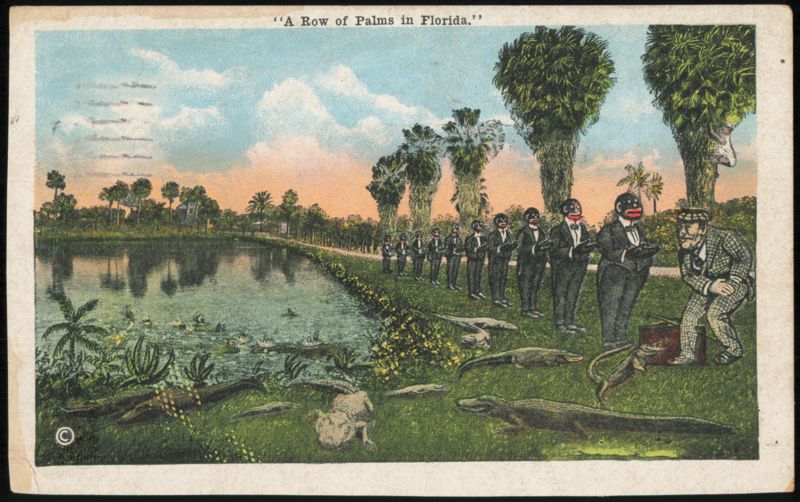A Row of Palms in Florida Humorous Illustration Jacksonville