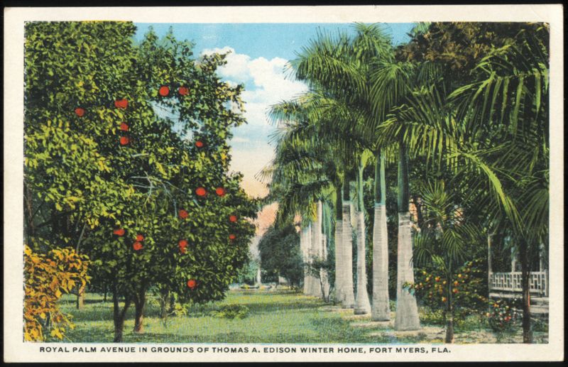 Royal Palm Avenue, Thomas A. Edison Winter Home Fort Myers Florida