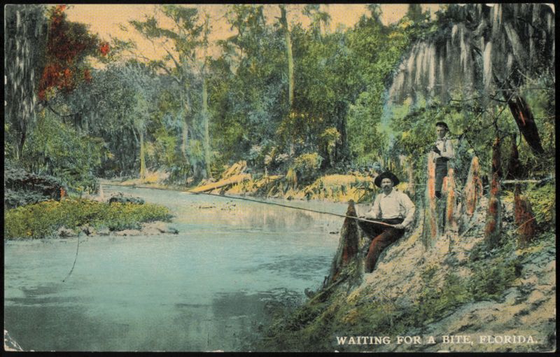 Waiting for a Bite, Fishing Scene in Florida
