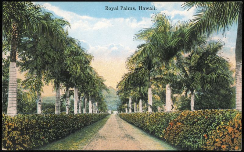 Royal Palms Avenue, Honolulu, Hawaii