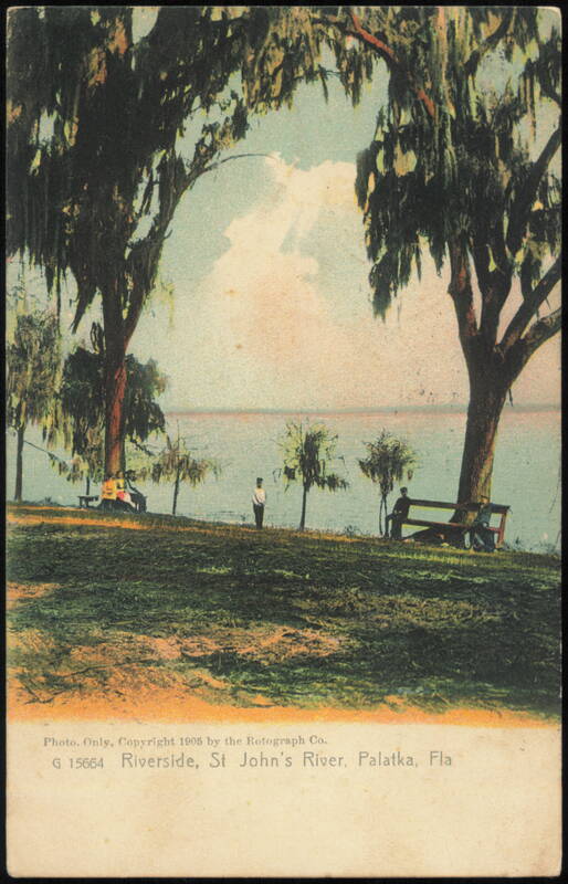 Riverside, St. John's River, Palatka, Florida