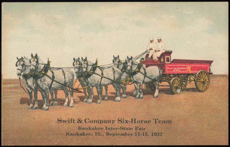 Swift & Company Six-Horse Team, Kankakee Inter-State Fair Illinois