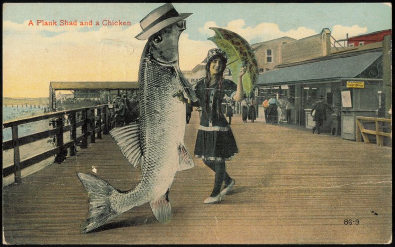 A Plank Shad and a Chicken Boardwalk Scene Iowa Exaggeration