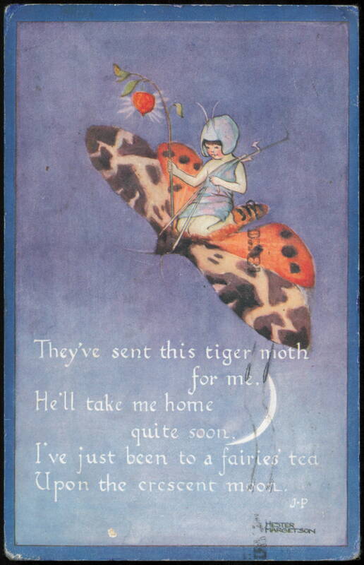 Fairy Riding a Tiger Moth with Crescent Moon Illustration