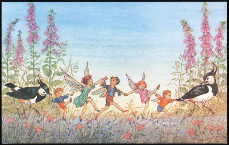 Twilight Dance Fairies and Birds by Molly Brett Fantasy