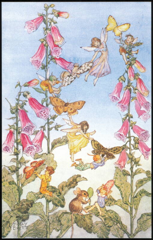 Fairies and Foxgloves by Molly Brett Fantasy